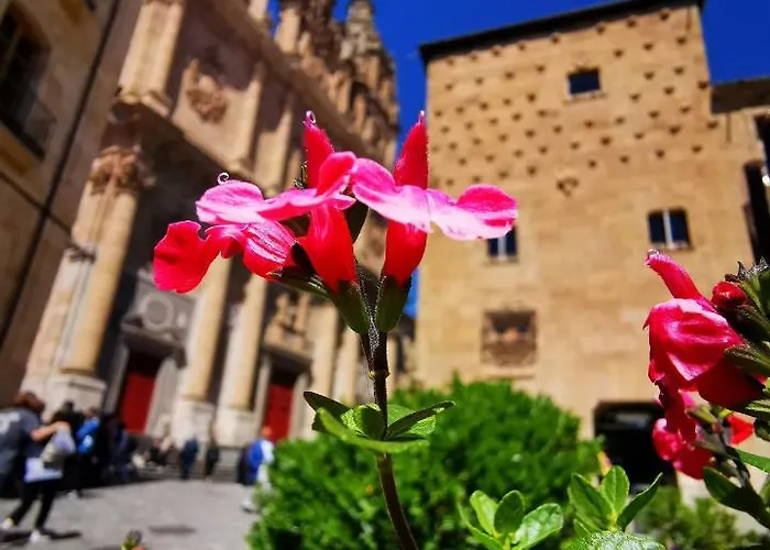 아파트 Rua Boutique 살라망카